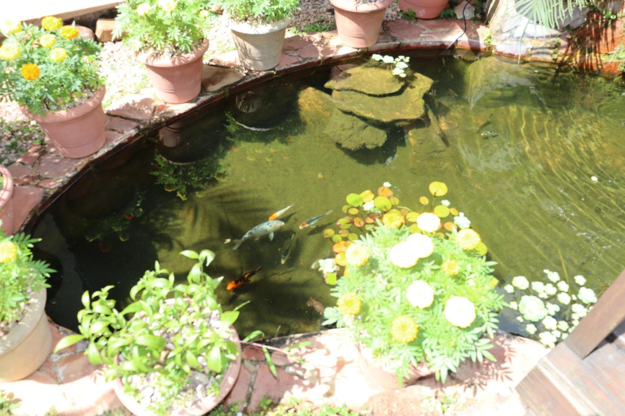 Eco Pousada Jardim Do Eden Alto Paraíso de Goiás Exterior foto